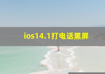 ios14.1打电话黑屏