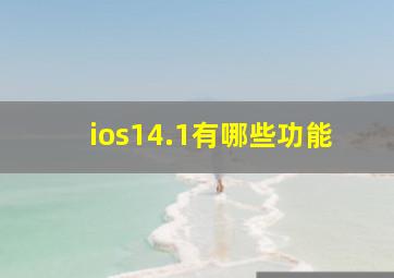 ios14.1有哪些功能