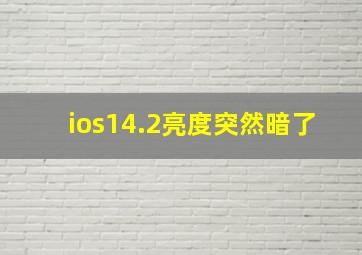 ios14.2亮度突然暗了