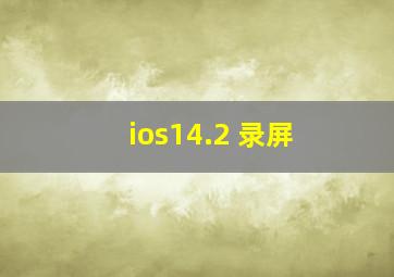 ios14.2 录屏