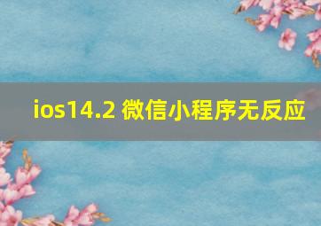 ios14.2 微信小程序无反应