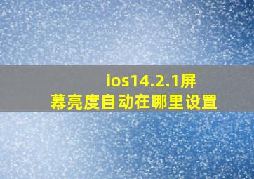 ios14.2.1屏幕亮度自动在哪里设置