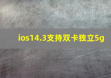 ios14.3支持双卡独立5g