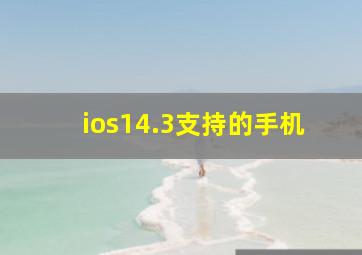 ios14.3支持的手机