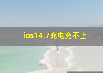 ios14.7充电充不上