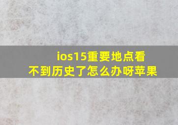 ios15重要地点看不到历史了怎么办呀苹果