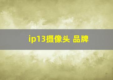 ip13摄像头 品牌