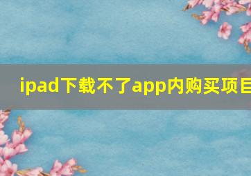 ipad下载不了app内购买项目