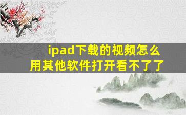 ipad下载的视频怎么用其他软件打开看不了了