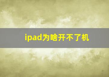 ipad为啥开不了机