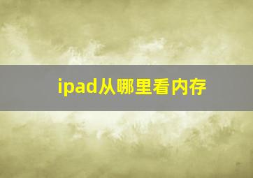 ipad从哪里看内存