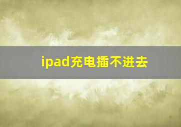 ipad充电插不进去