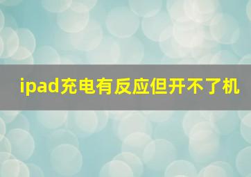 ipad充电有反应但开不了机