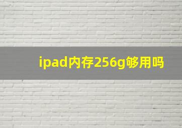 ipad内存256g够用吗