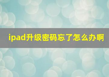 ipad升级密码忘了怎么办啊