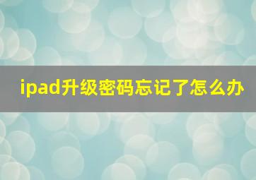 ipad升级密码忘记了怎么办