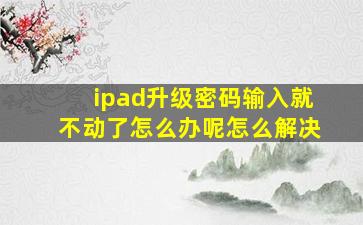 ipad升级密码输入就不动了怎么办呢怎么解决