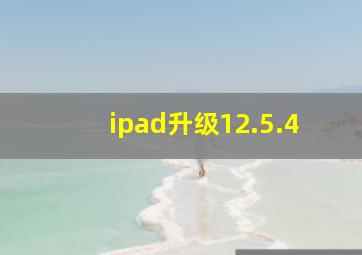 ipad升级12.5.4