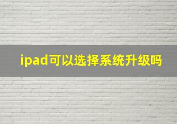 ipad可以选择系统升级吗