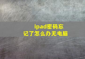 ipad密码忘记了怎么办无电脑