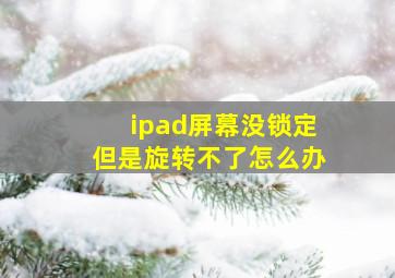 ipad屏幕没锁定但是旋转不了怎么办