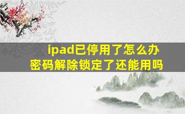 ipad已停用了怎么办密码解除锁定了还能用吗