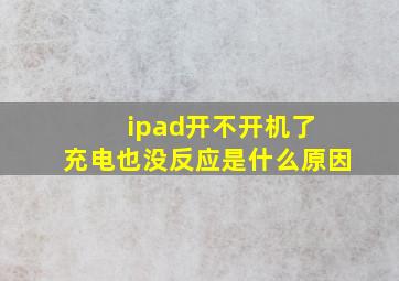 ipad开不开机了 充电也没反应是什么原因