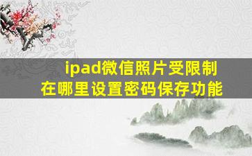 ipad微信照片受限制在哪里设置密码保存功能