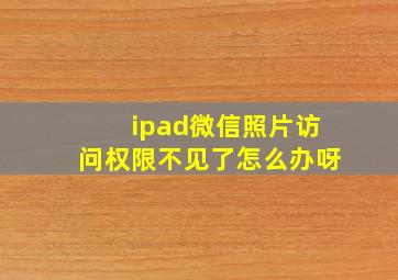 ipad微信照片访问权限不见了怎么办呀