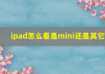 ipad怎么看是mini还是其它