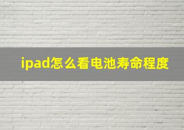 ipad怎么看电池寿命程度