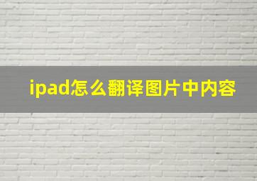 ipad怎么翻译图片中内容