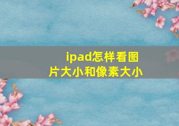 ipad怎样看图片大小和像素大小