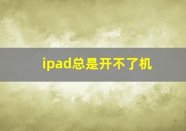 ipad总是开不了机