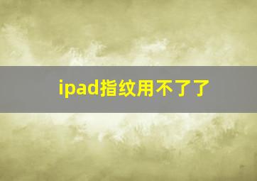 ipad指纹用不了了