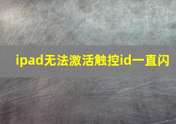 ipad无法激活触控id一直闪