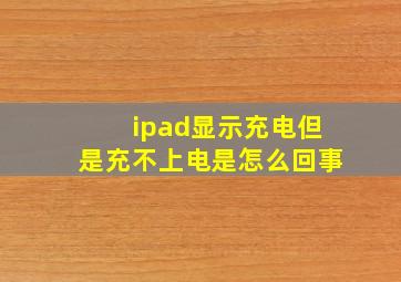 ipad显示充电但是充不上电是怎么回事