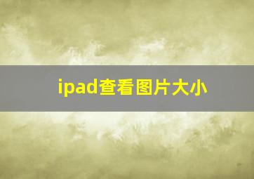 ipad查看图片大小