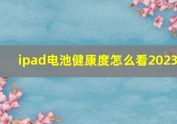 ipad电池健康度怎么看2023