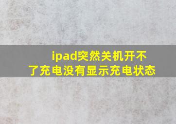 ipad突然关机开不了充电没有显示充电状态