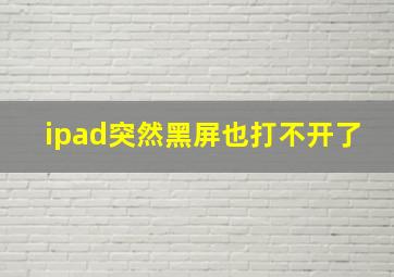 ipad突然黑屏也打不开了