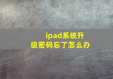 ipad系统升级密码忘了怎么办