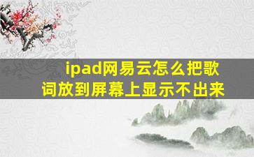 ipad网易云怎么把歌词放到屏幕上显示不出来