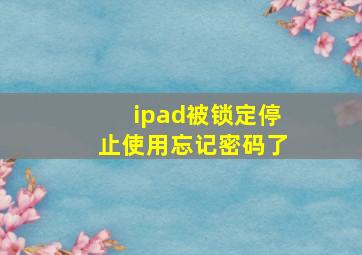 ipad被锁定停止使用忘记密码了