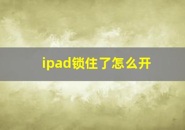 ipad锁住了怎么开