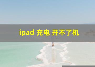 ipad 充电 开不了机