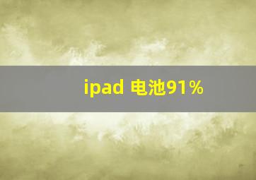 ipad 电池91%