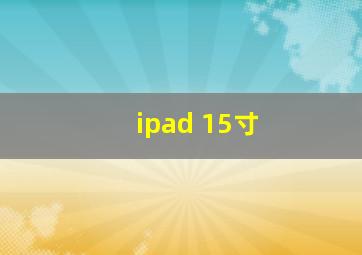 ipad 15寸