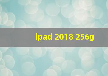 ipad 2018 256g