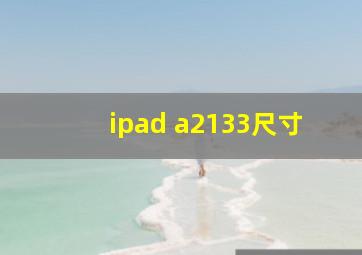 ipad a2133尺寸